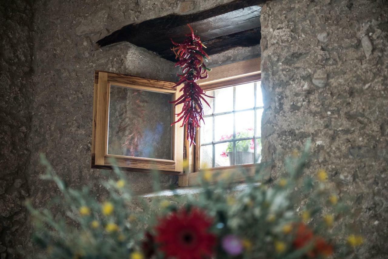 B&B Rifugio Tra Gli Ulivi กัมปาญา ภายนอก รูปภาพ