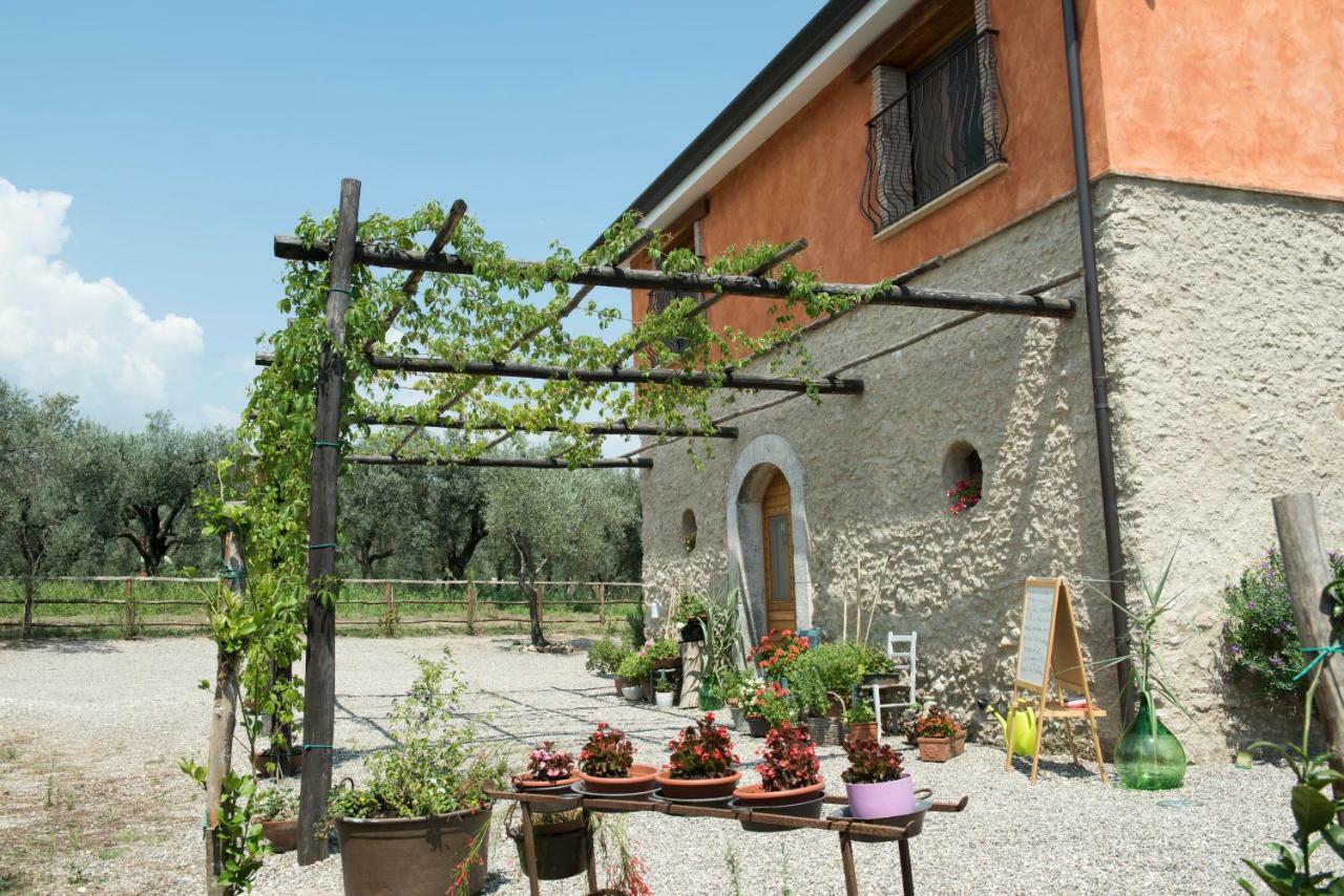 B&B Rifugio Tra Gli Ulivi กัมปาญา ภายนอก รูปภาพ