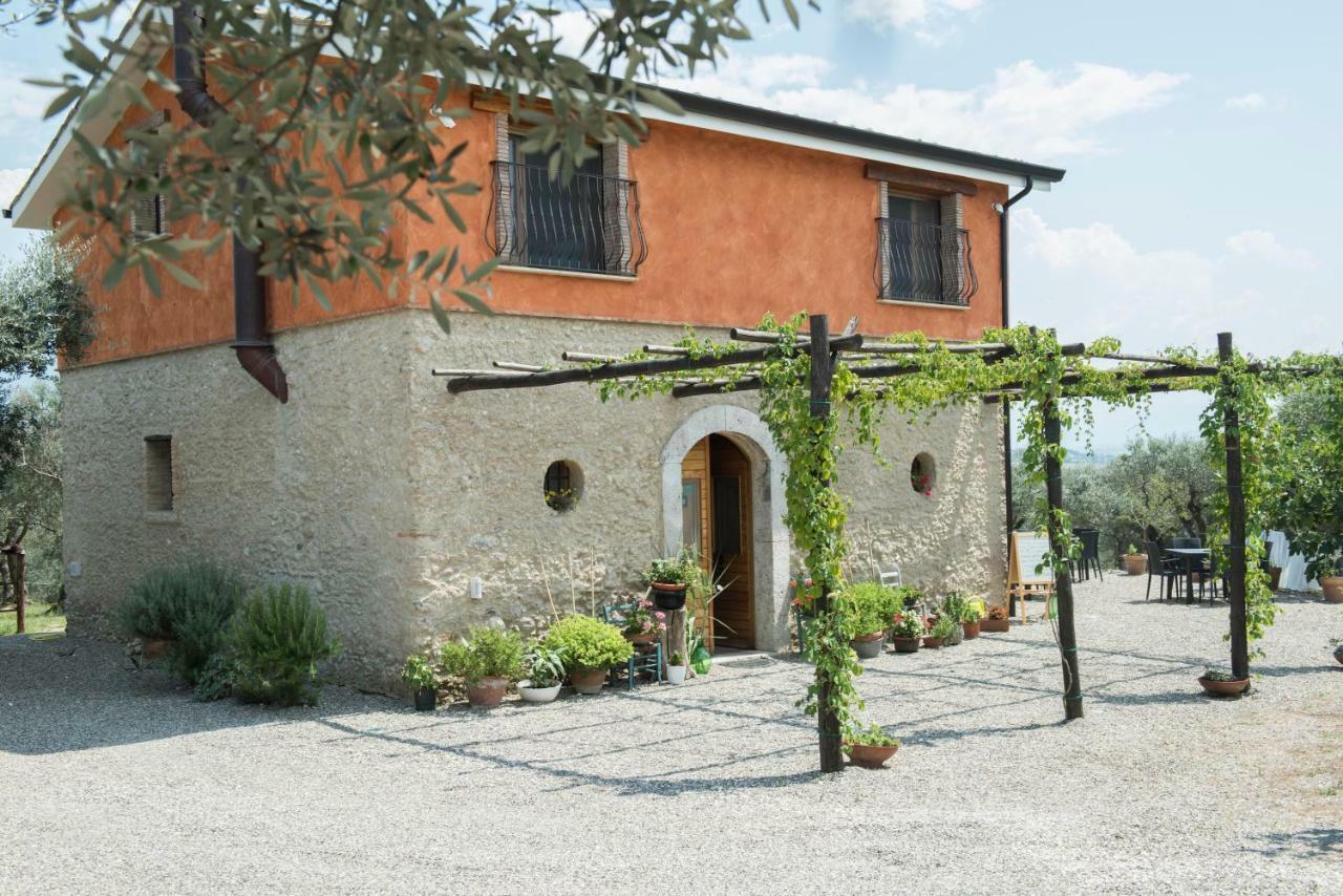 B&B Rifugio Tra Gli Ulivi กัมปาญา ภายนอก รูปภาพ