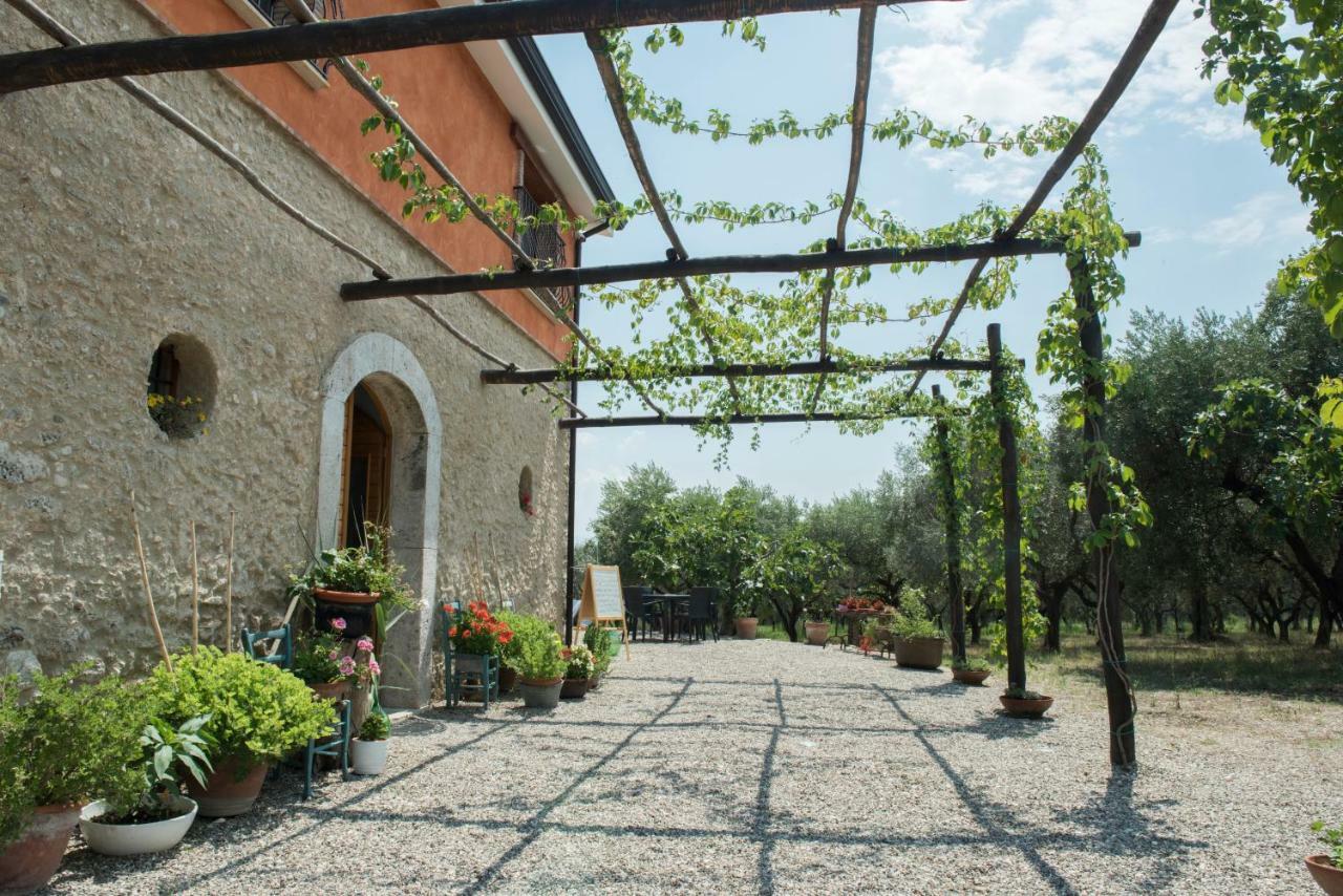 B&B Rifugio Tra Gli Ulivi กัมปาญา ภายนอก รูปภาพ