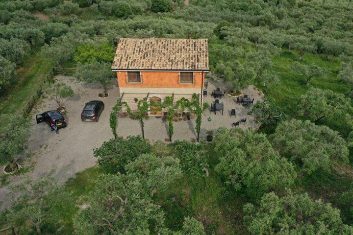 B&B Rifugio Tra Gli Ulivi กัมปาญา ภายนอก รูปภาพ